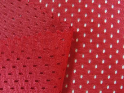 Mesh cloth 